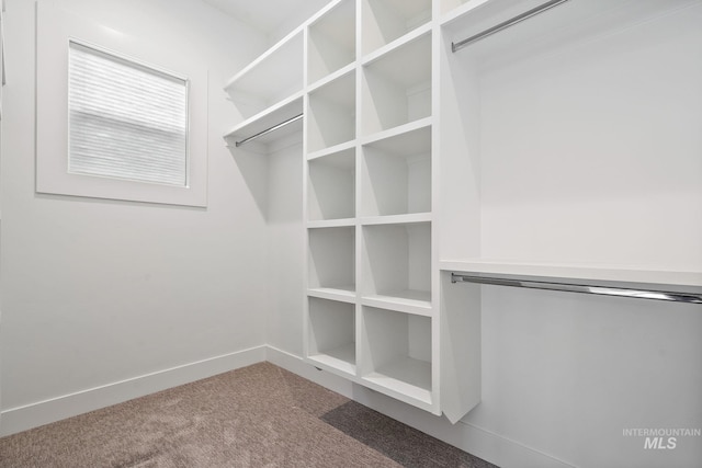 6635 Big Wood Way, Star, ID 83669 - spacious closet featuring carpet flooring