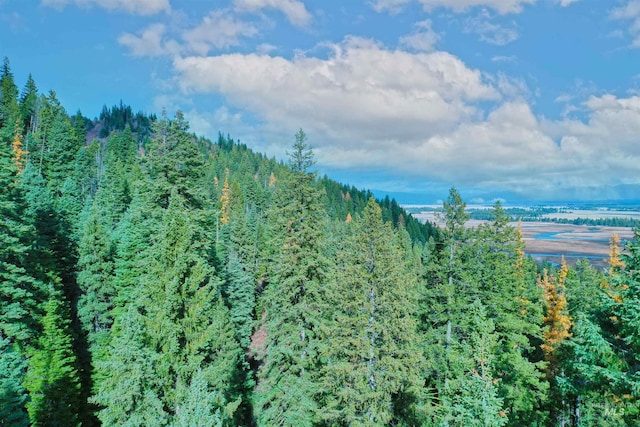 2437 Maverick Rd, Donnelly, ID 83615