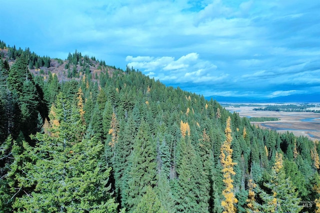 2437 Maverick Rd, Donnelly, ID 83615