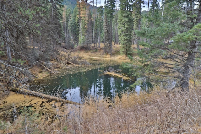 2437 Maverick Rd, Donnelly, ID 83615