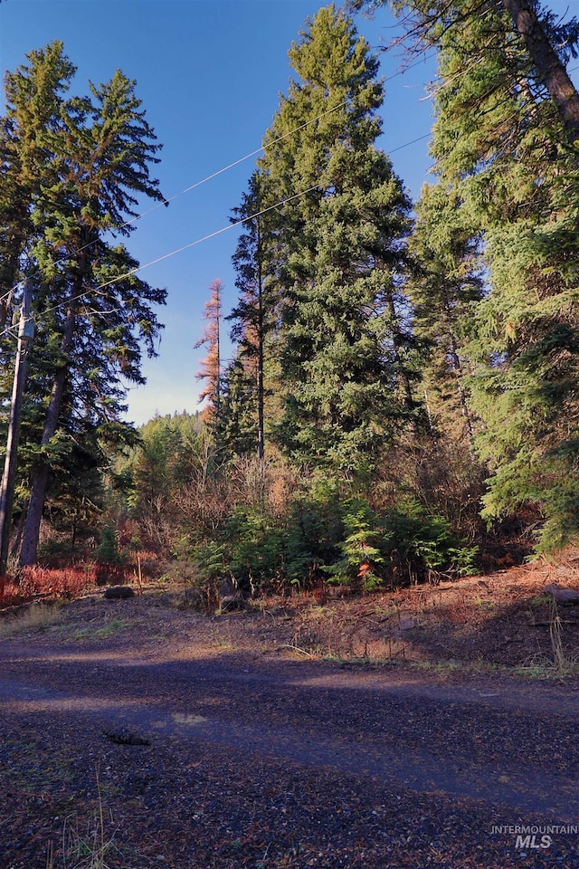 2437 Maverick Rd, Donnelly, ID 83615