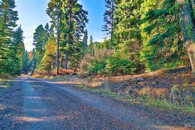 2437 Maverick Rd, Donnelly, ID 83615