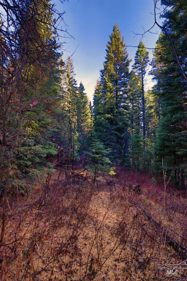2437 Maverick Rd, Donnelly, ID 83615