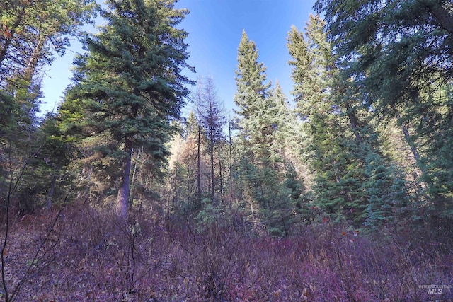 2437 Maverick Rd, Donnelly, ID 83615