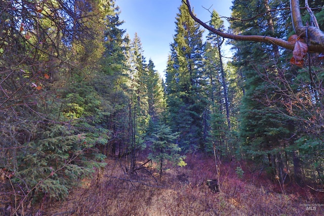 2437 Maverick Rd, Donnelly, ID 83615
