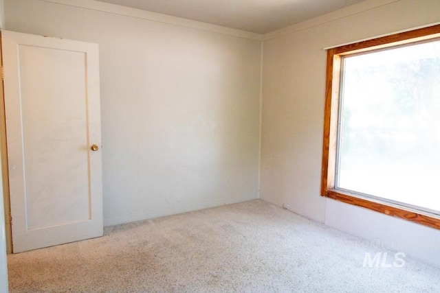 402 S Hayes, Emmett, ID 83617 - unfurnished room featuring healthy amount of natural light and carpet floors