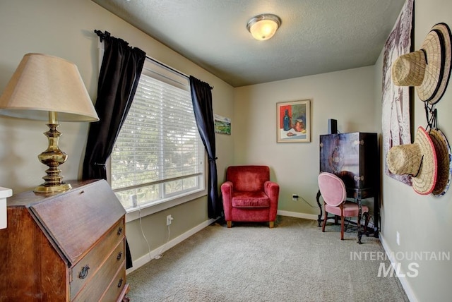 living area featuring a wealth of natural light, baseboards, carpet floors, and a textured ceiling