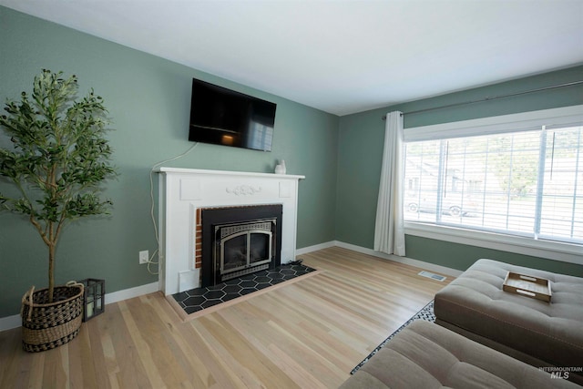 living room featuring wood-type flooring