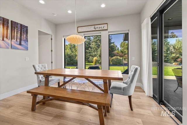 dining space with a healthy amount of sunlight and light hardwood / wood-style floors