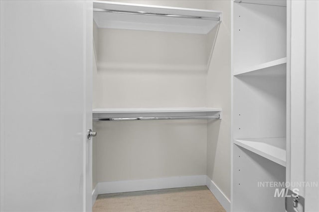 spacious closet with light carpet