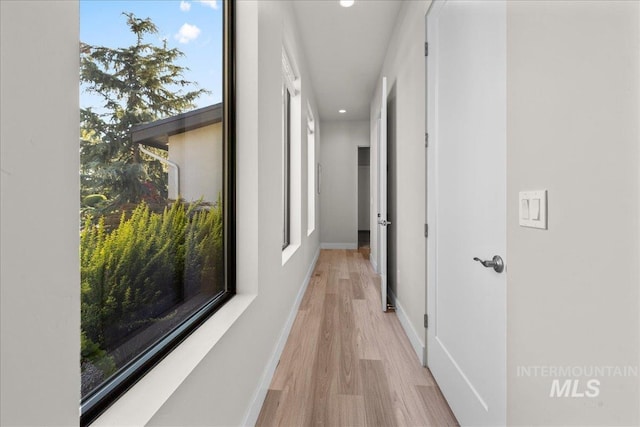 hallway featuring light wood-type flooring and plenty of natural light