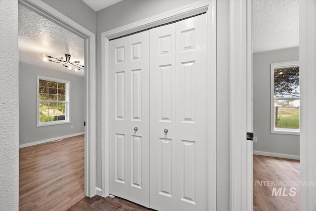 25022 Tumbleweed, Middleton, ID 83644 - hall featuring a textured ceiling, baseboards, healthy amount of natural light, and dark wood-style floors