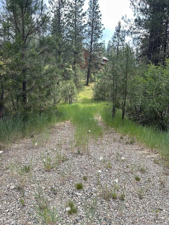 TBD White Pine, Garden Valley, ID 83622