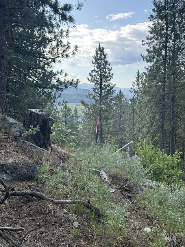 TBD White Pine, Garden Valley, ID 83622