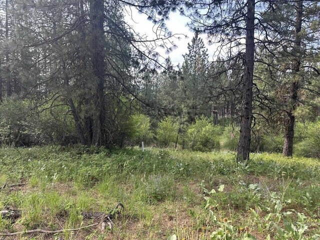 TBD White Pine, Garden Valley, ID 83622