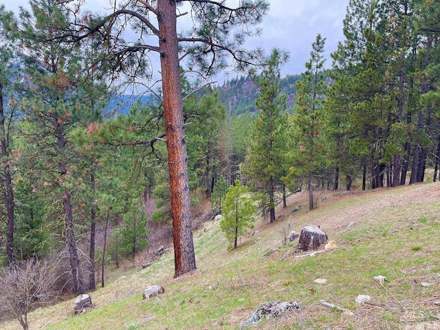 TBD White Pine, Garden Valley, ID 83622