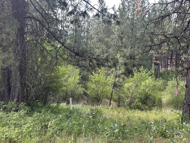 TBD White Pine, Garden Valley, ID 83622