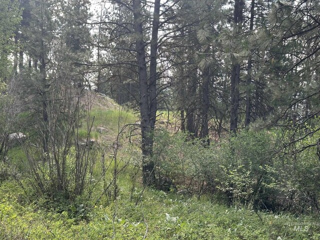 TBD White Pine, Garden Valley, ID 83622