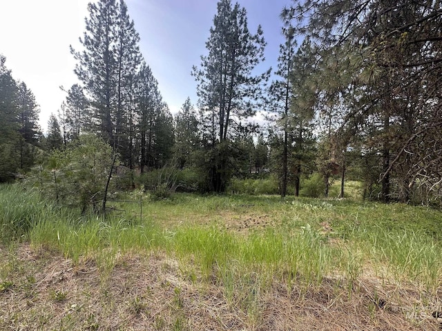 TBD White Pine, Garden Valley, ID 83622