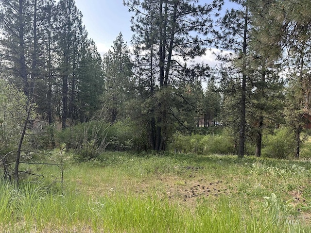 TBD White Pine, Garden Valley, ID 83622