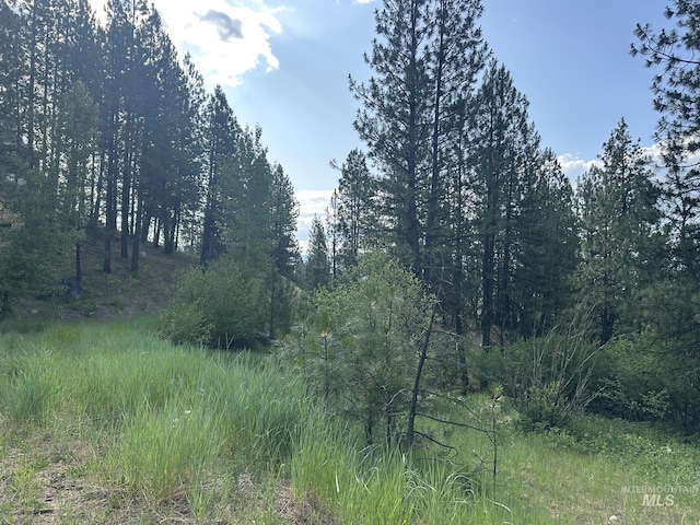 TBD White Pine, Garden Valley, ID 83622