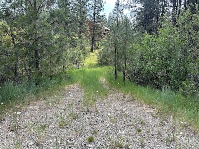 TBD White Pine, Garden Valley, ID 83622