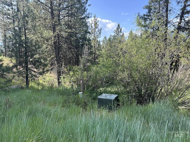 TBD White Pine, Garden Valley, ID 83622