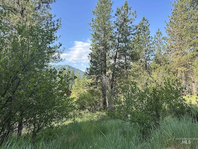 TBD White Pine, Garden Valley, ID 83622