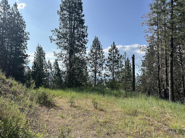 TBD White Pine, Garden Valley, ID 83622