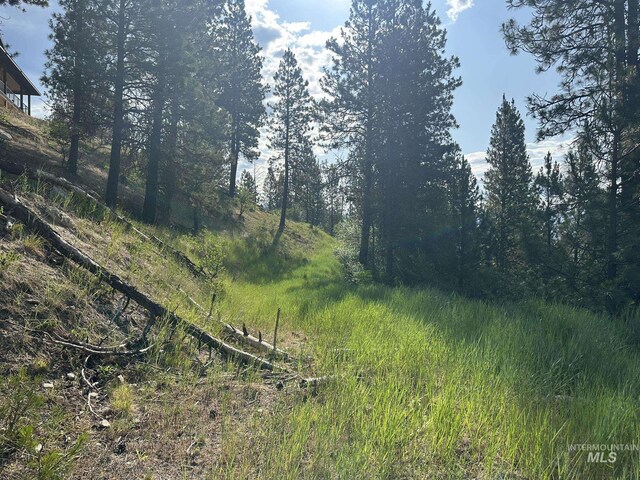 TBD White Pine, Garden Valley, ID 83622