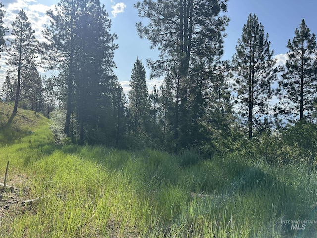 TBD White Pine, Garden Valley, ID 83622