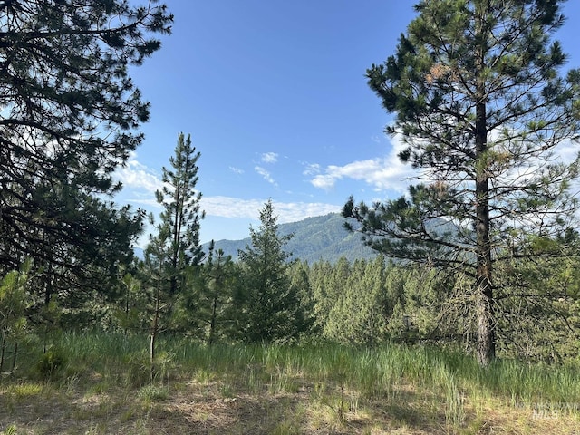 TBD White Pine, Garden Valley, ID 83622