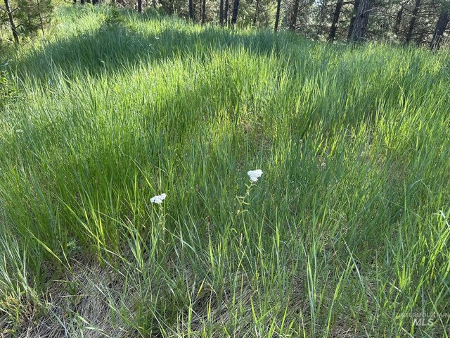 TBD White Pine, Garden Valley, ID 83622