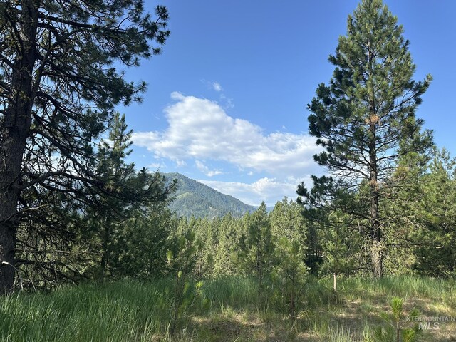 TBD White Pine, Garden Valley, ID 83622