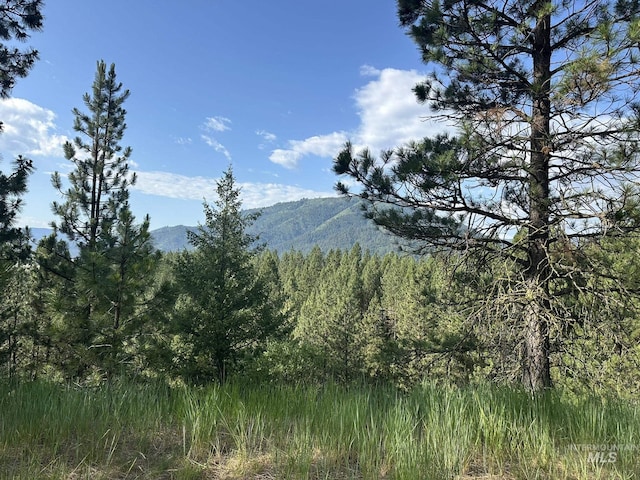 TBD White Pine, Garden Valley, ID 83622