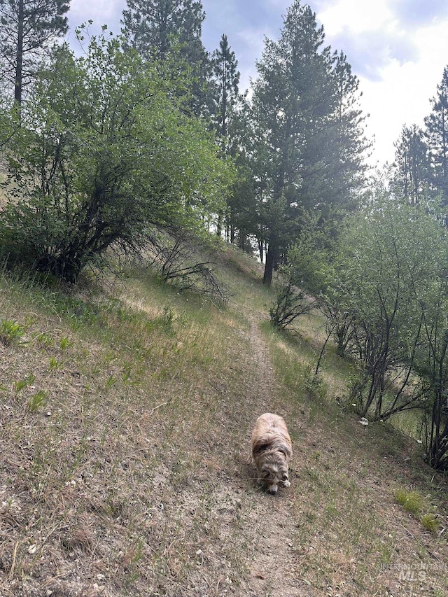 TBD White Pine, Garden Valley, ID 83622