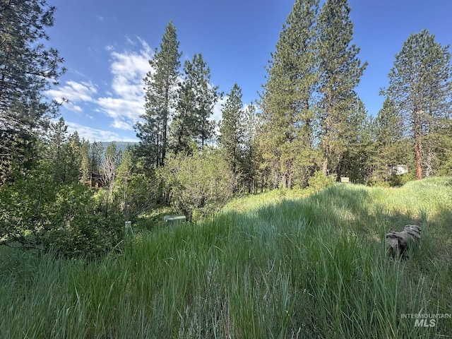 TBD White Pine, Garden Valley, ID 83622