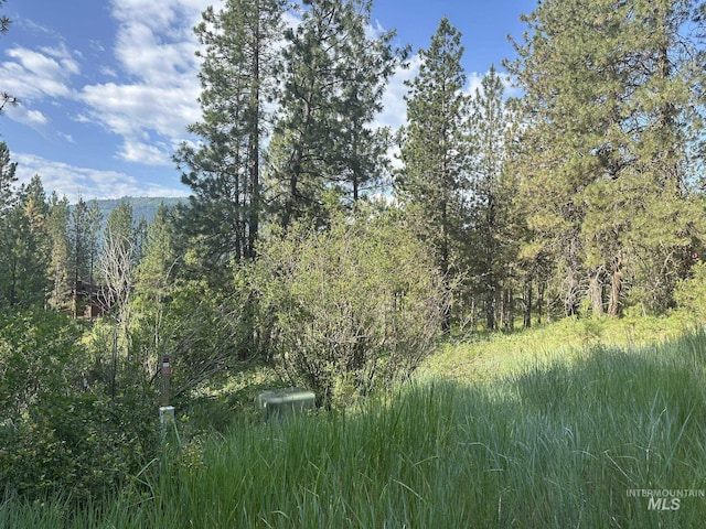 TBD White Pine, Garden Valley, ID 83622