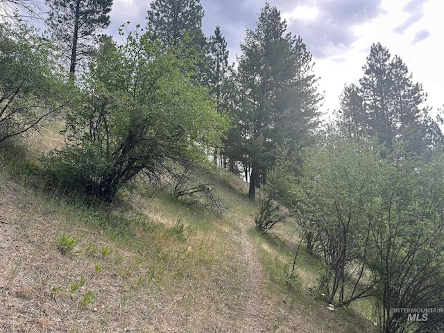 TBD White Pine, Garden Valley, ID 83622