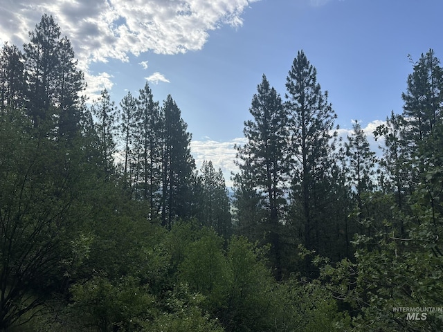 TBD White Pine, Garden Valley, ID 83622