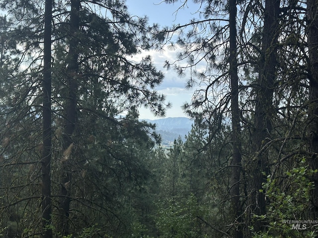 TBD White Pine, Garden Valley, ID 83622