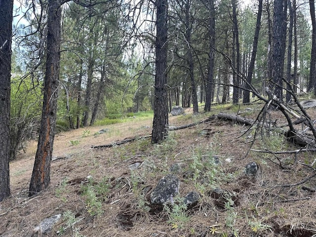 TBD White Pine, Garden Valley, ID 83622