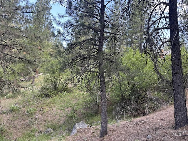 TBD White Pine, Garden Valley, ID 83622