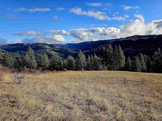 TBD Dent Bridge Rd, Orofino ID, 83544 land for sale