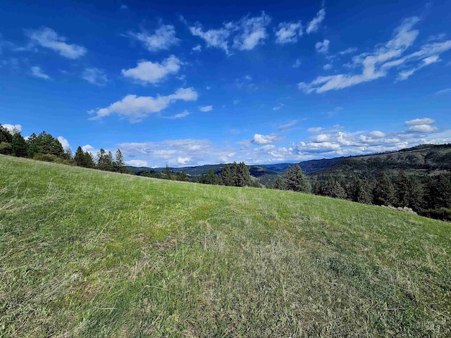 TBD Dent Bridge Rd, Orofino, ID 83544