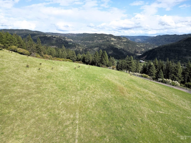 TBD Dent Bridge Rd, Orofino, ID 83544