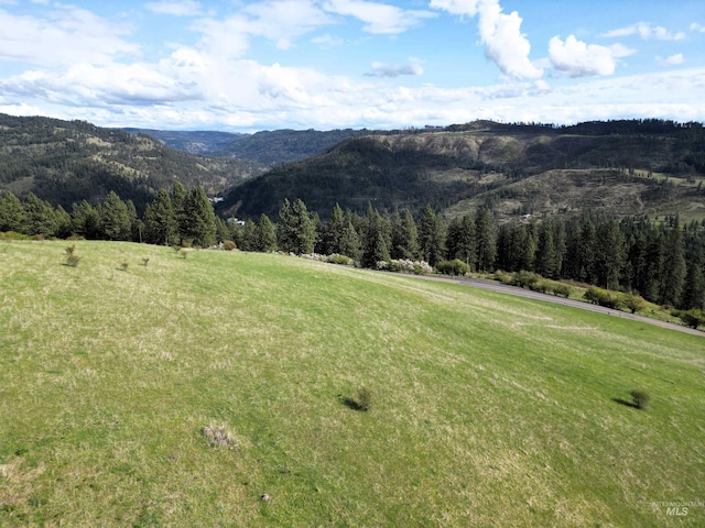 TBD Dent Bridge Rd, Orofino, ID 83544
