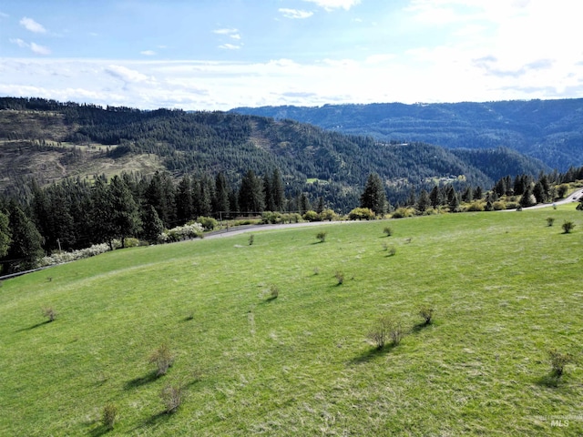 TBD Dent Bridge Rd, Orofino, ID 83544