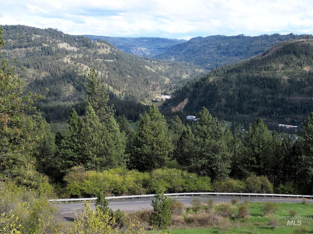 TBD Dent Bridge Rd, Orofino, ID 83544