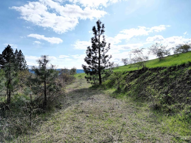 TBD Dent Bridge Rd, Orofino, ID 83544